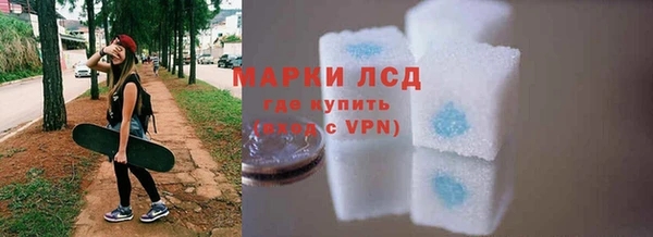 стаф Елизово
