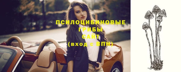 бутират Елабуга