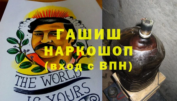 стаф Елизово