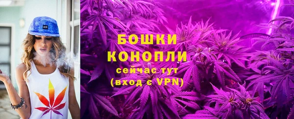 стаф Елизово